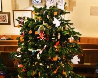 Christmas Tree Festival 2021