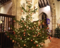 Christmas Tree Festival 2021