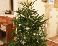 Christmas Tree Festival 2021