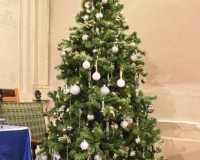 Christmas Tree Festival 2021