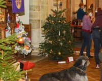 Christmas Tree Festival 2021