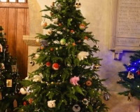 Christmas Tree Festival 2021