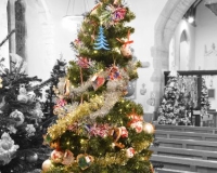 Christmas Tree Festival 2021