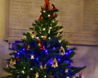 Christmas Tree Festival 2021